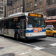 So much depends on a white city bus